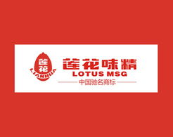 福来品牌营销策划公司 2013年全案营销策划回顾与展望